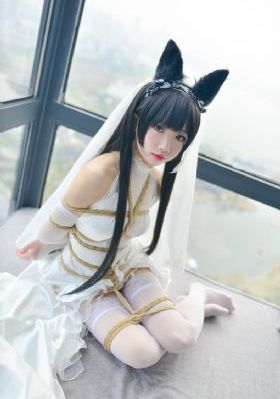 一级特级毛片a片免费视频_DVD高清在线观看